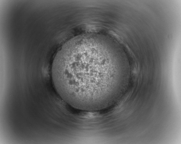 X0000088440663200706051249