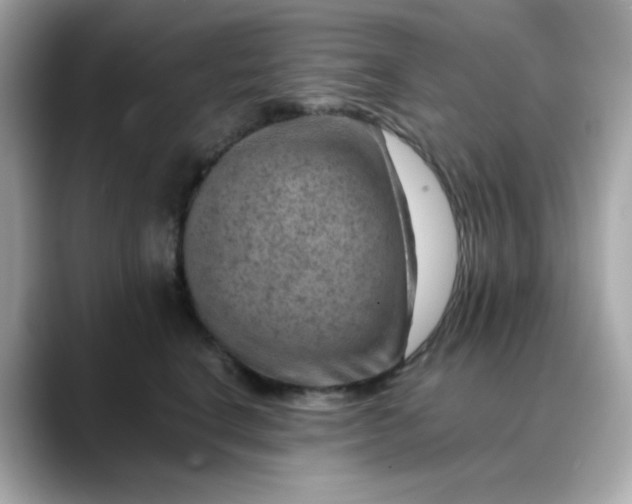 X0000088440664200706051249