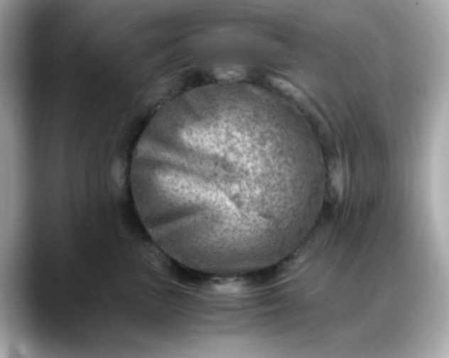 X0000088440667200706051249