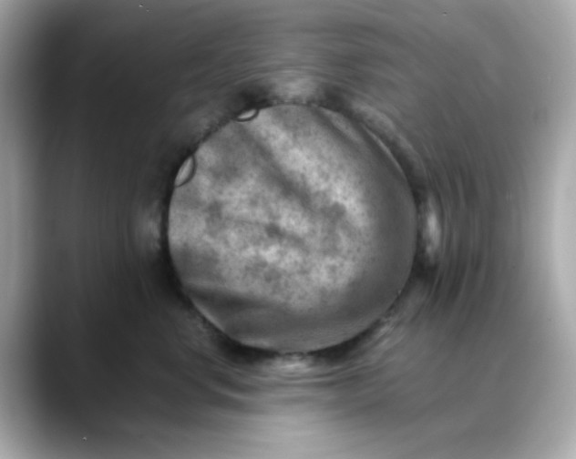 X0000088440668200706051249