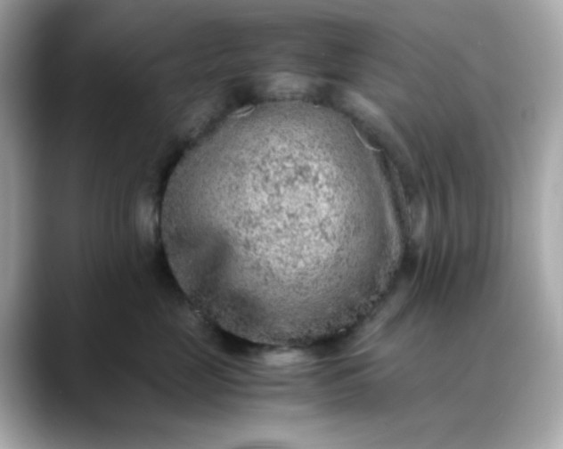 X0000088440669200706051249