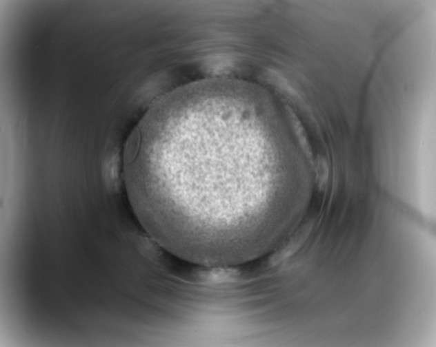X0000088440670200706051249