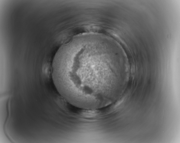 X0000088440671200706051249