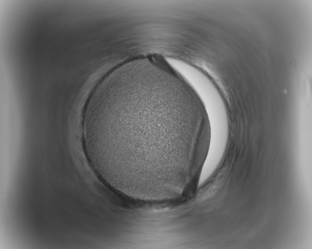 X0000088440673200706051248