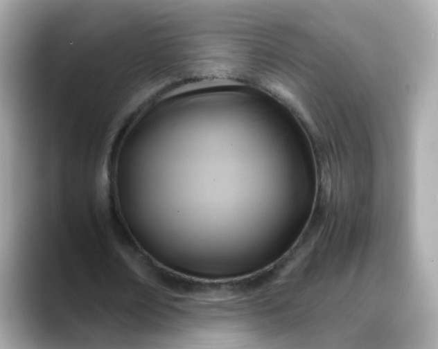 X0000088440674200706051248