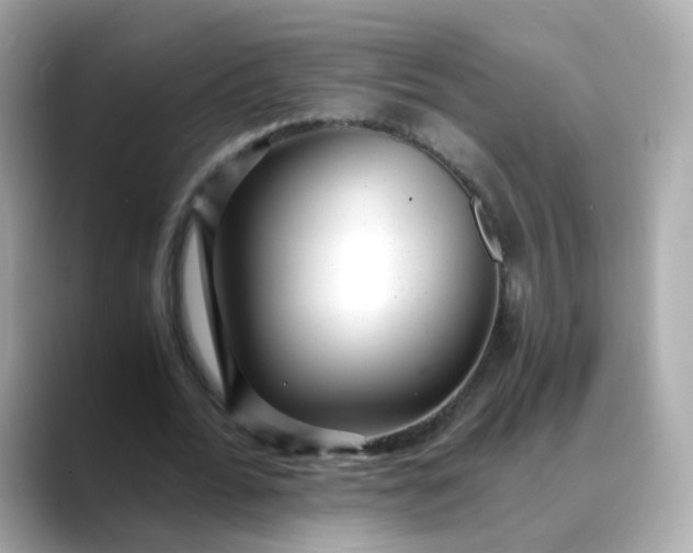 X0000088440676200706051248