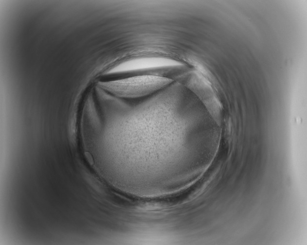 X0000088440677200706051248