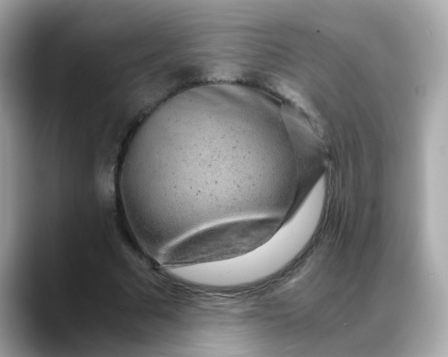 X0000088440681200706051248