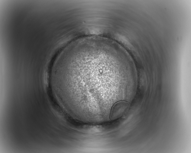 X0000088440683200706051248