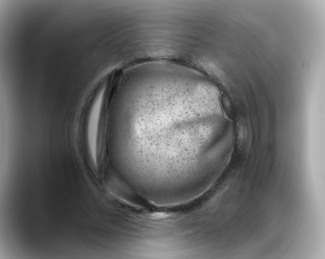 X0000088440684200706051248