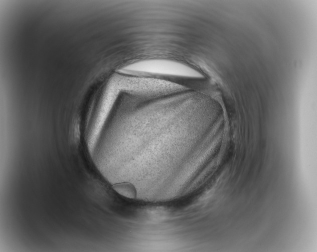 X0000088440685200706051248