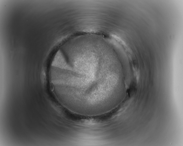 X0000088440688200706051248