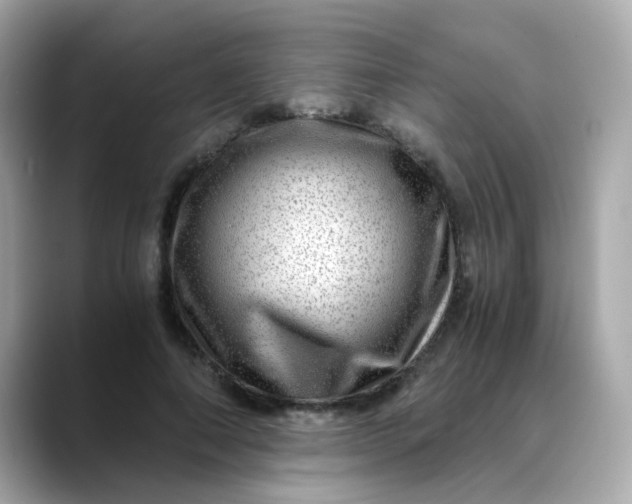 X0000088440690200706051248
