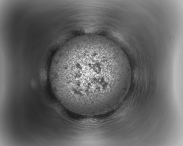 X0000088440691200706051248