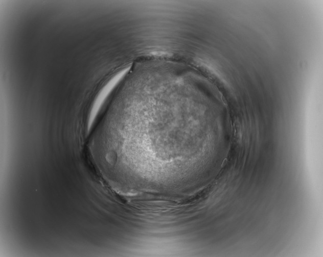 X0000088440692200706051248