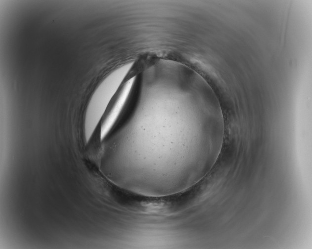 X0000088440693200706051248