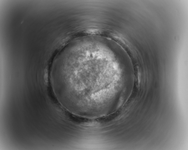 X0000088440696200706051248