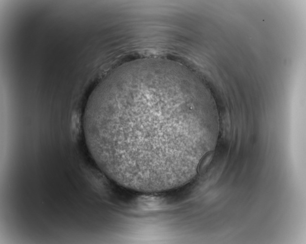 X0000088440699200706051248