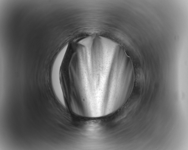 X0000088440700200706051248