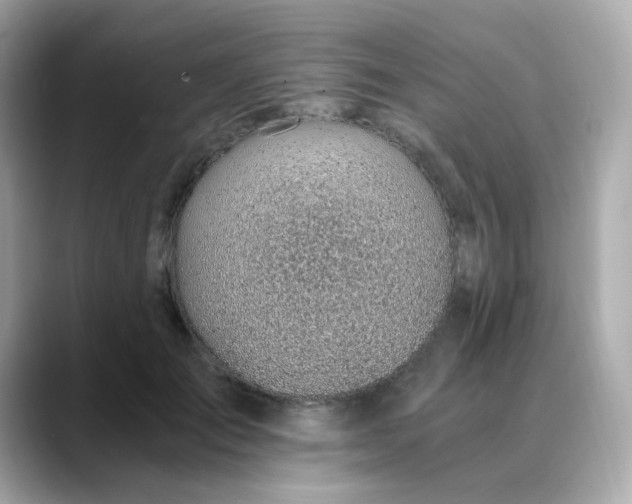 X0000088440701200706051248