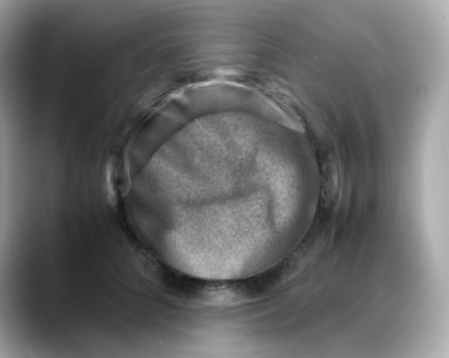 X0000088440704200706051248