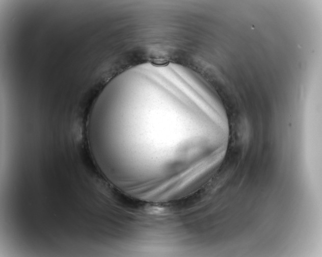 X0000088440706200706051248