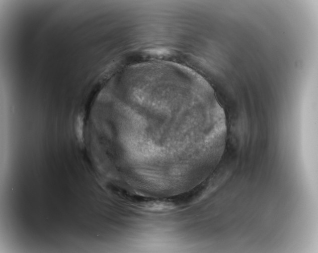 X0000088440708200706051248