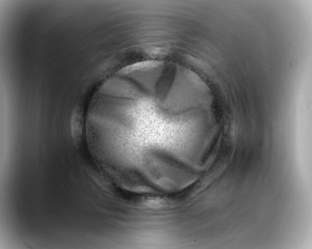 X0000088440710200706051248