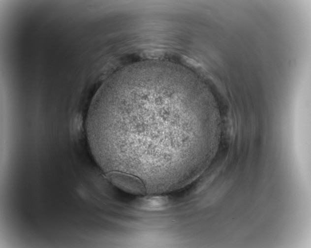 X0000088440711200706051248
