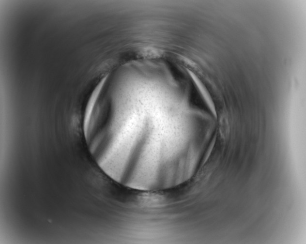 X0000088440714200706051248