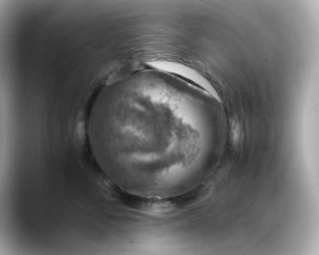 X0000088440716200706051248