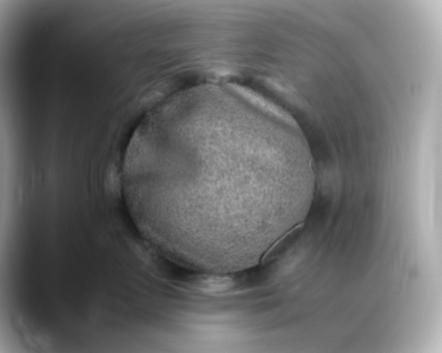 X0000088440719200706051248