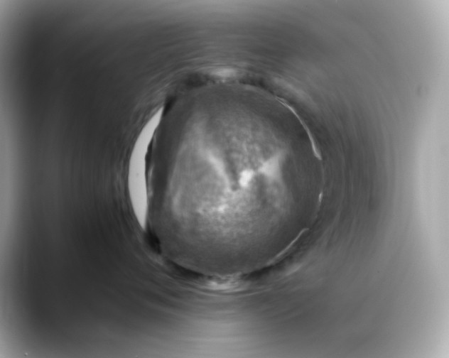 X0000088440720200706051248