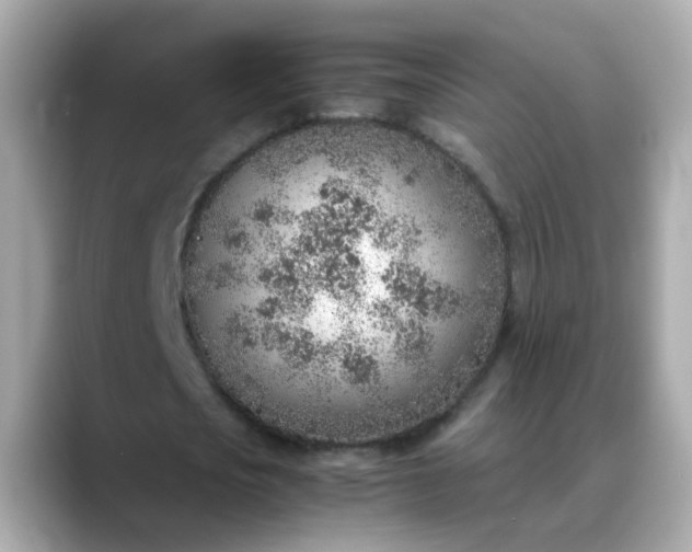 X0000088440721200706051247