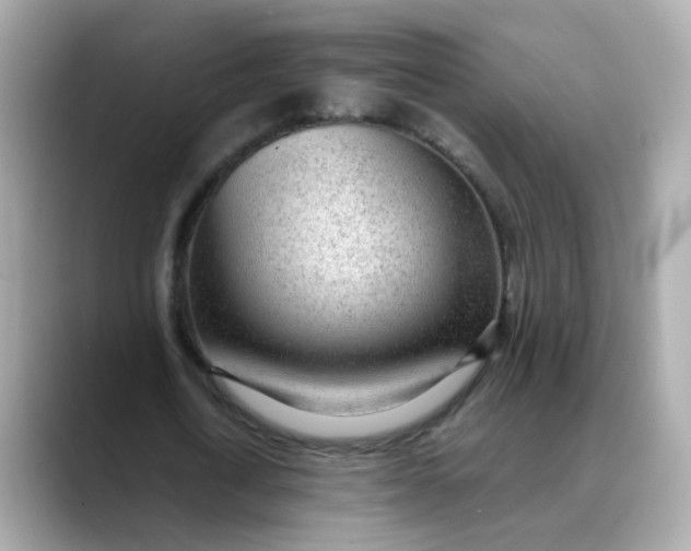 X0000088440722200706051247