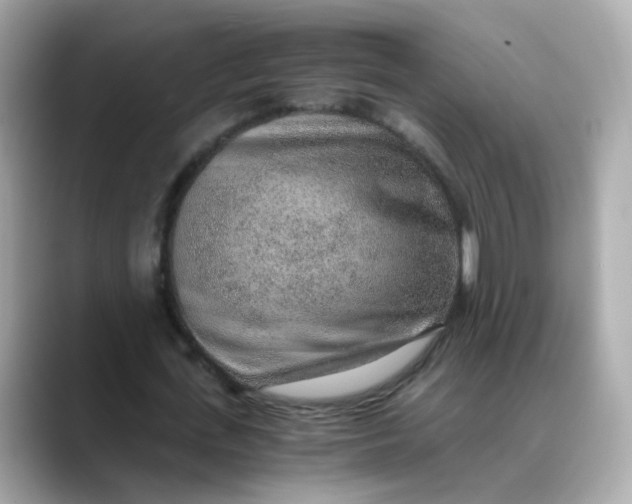 X0000088440723200706051247