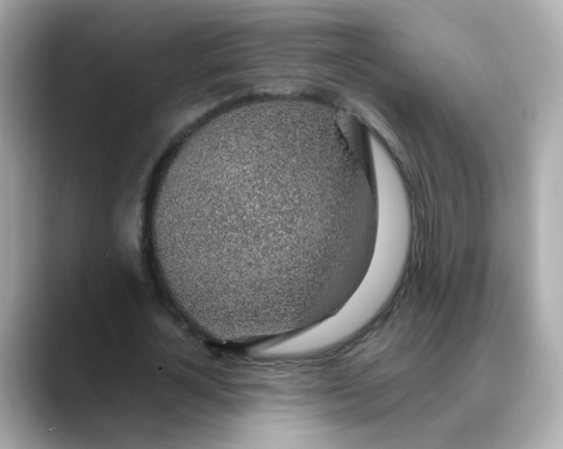 X0000088440724200706051247
