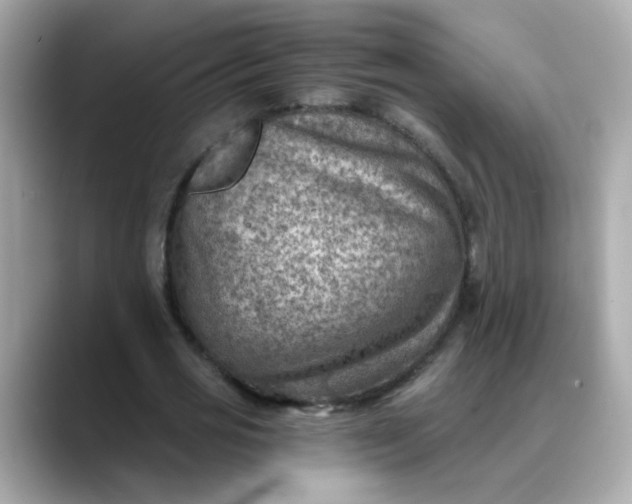 X0000088440725200706051247