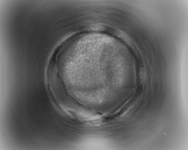 X0000088440726200706051247