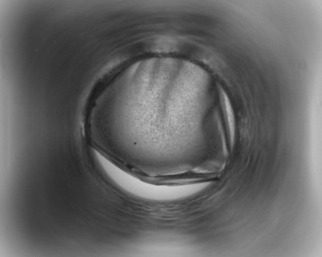 X0000088440727200706051247