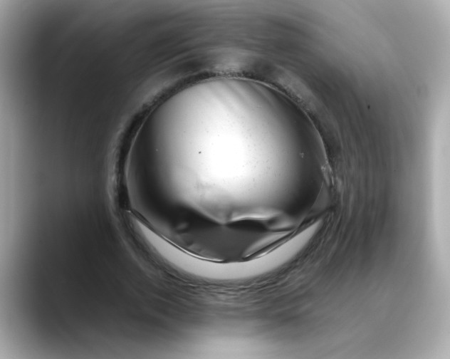 X0000088440728200706051247