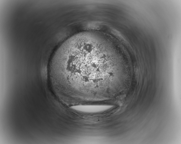 X0000088440729200706051247