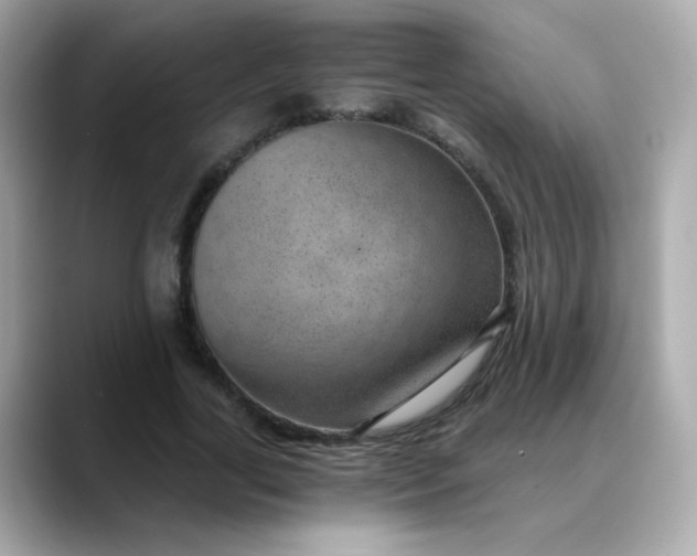X0000088440731200706051248
