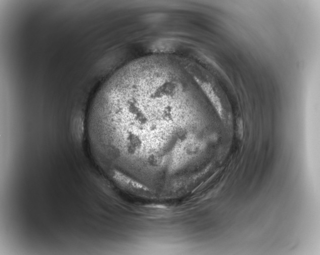 X0000088440733200706051248