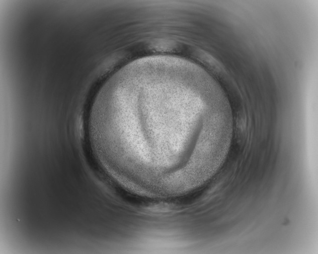 X0000088440734200706051248
