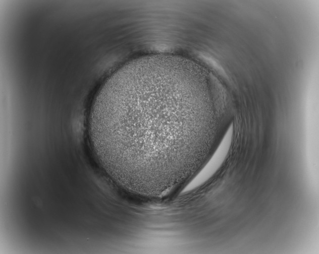 X0000088440736200706051248