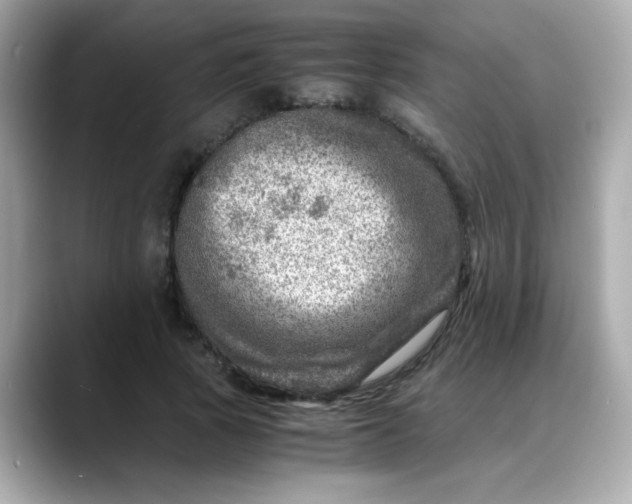 X0000088440737200706051248