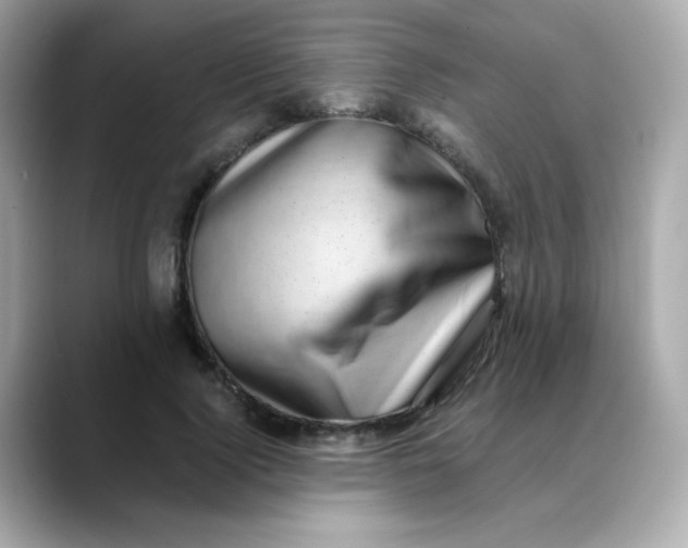 X0000088440740200706051248