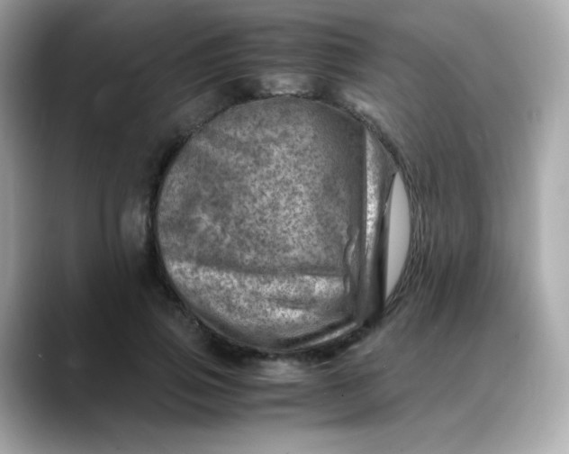 X0000088440741200706051248