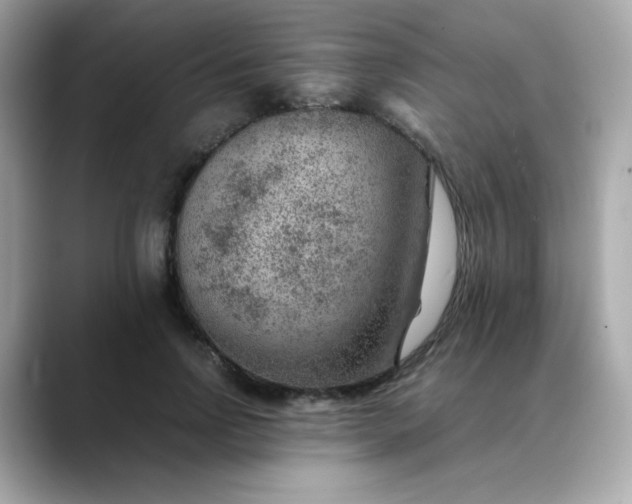 X0000088440742200706051248